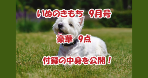 いぬのきもち9月号　